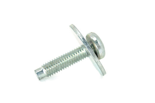 AYP500010 | Screw and washer
