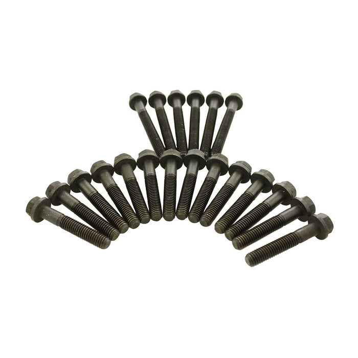 BK 0119 | Cylinder head bolt kit (20pcs) V8